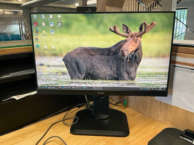 Monitor (4x) - afbeelding 11 van  12