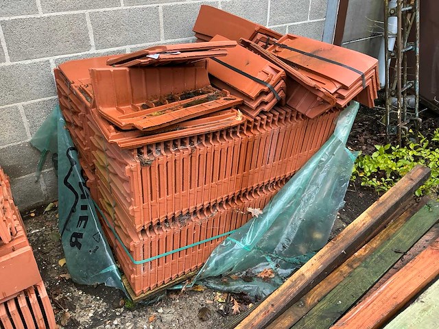 Monnier signy diverse dakpannen - afbeelding 1 van  5