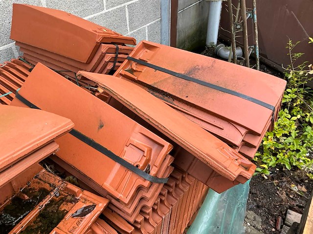 Monnier signy diverse dakpannen - afbeelding 4 van  5