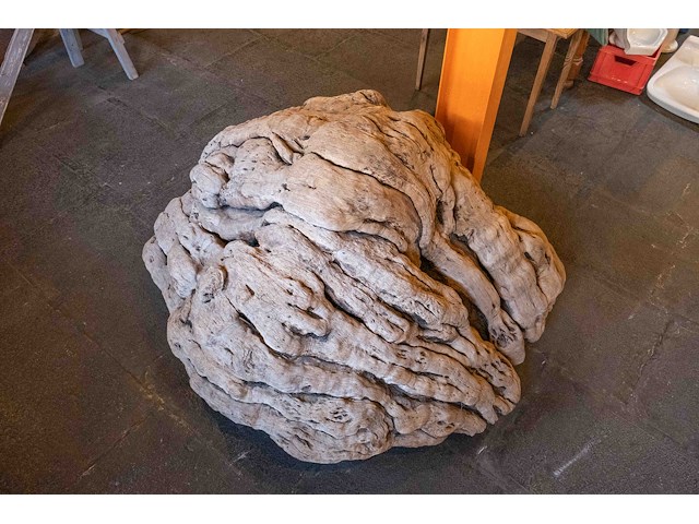 Monumentaal stuk afrikaans wortelhout 2000kg - afbeelding 1 van  7