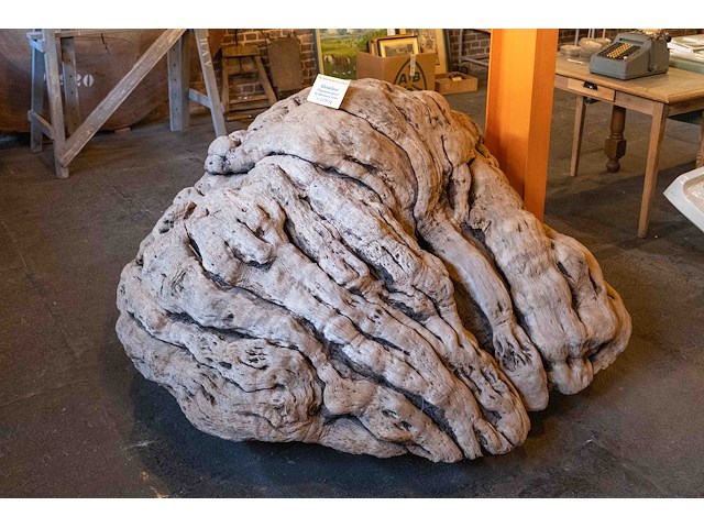 Monumentaal stuk afrikaans wortelhout 2000kg - afbeelding 2 van  7