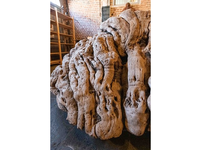 Monumentaal stuk afrikaans wortelhout 2000kg - afbeelding 3 van  7