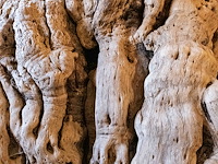 Monumentaal stuk afrikaans wortelhout 2000kg - afbeelding 4 van  7
