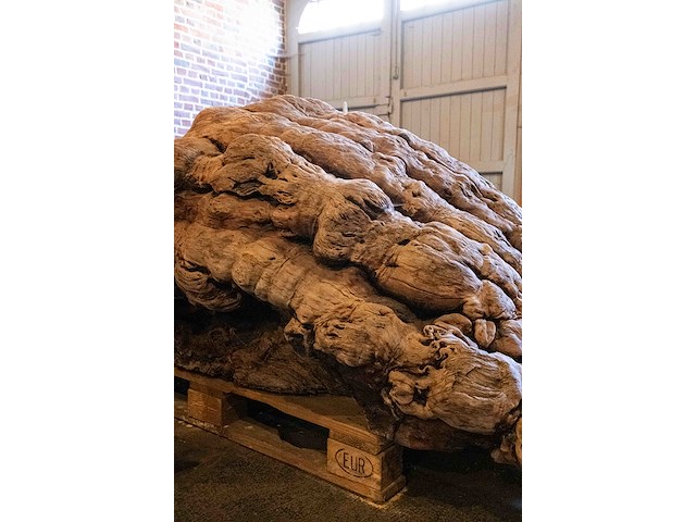 Monumentaal stuk afrikaans wortelhout 2000kg - afbeelding 5 van  7
