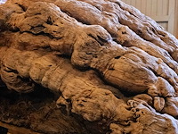 Monumentaal stuk afrikaans wortelhout 2000kg - afbeelding 5 van  7