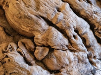 Monumentaal stuk afrikaans wortelhout 2000kg - afbeelding 6 van  7