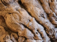 Monumentaal stuk afrikaans wortelhout 2000kg - afbeelding 7 van  7