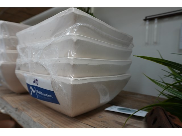 Morgano schalen – lot van 4 | 20×20 cm - afbeelding 3 van  3