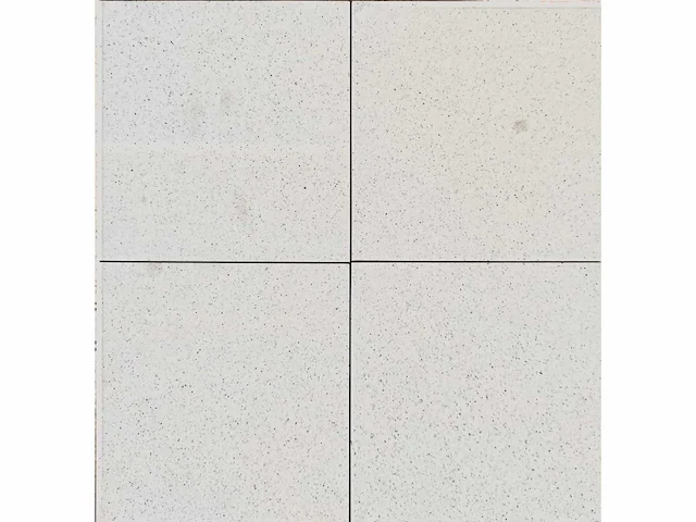 Mosa 74000ls porseleinwit mat anti-slip 15x15 cm tegel 13,5 m² - afbeelding 8 van  9
