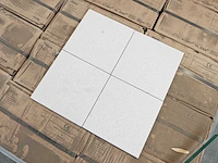 Mosa 74000ls porseleinwit mat anti-slip 15x15 cm tegel 13,5 m² - afbeelding 3 van  9