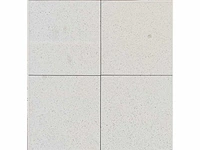 Mosa 74000ls porseleinwit mat anti-slip 15x15 cm tegel 13,5 m² - afbeelding 8 van  9