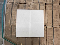 Mosa 74000ls porseleinwit mat anti-slip 15x15 cm tegel 63 m² - afbeelding 2 van  9