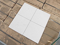 Mosa 74000ls porseleinwit mat anti-slip 15x15 cm tegel 63 m² - afbeelding 3 van  9