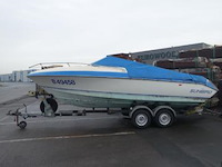 Motorboot sunbird & aanhangwagen