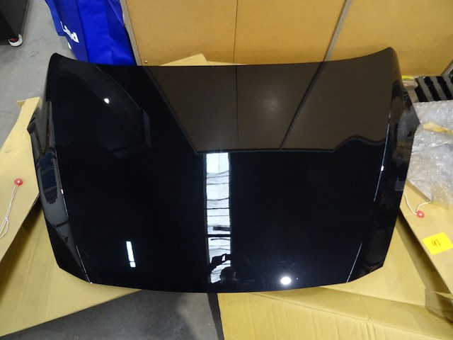 Motorkap panther black fiesta - afbeelding 1 van  4