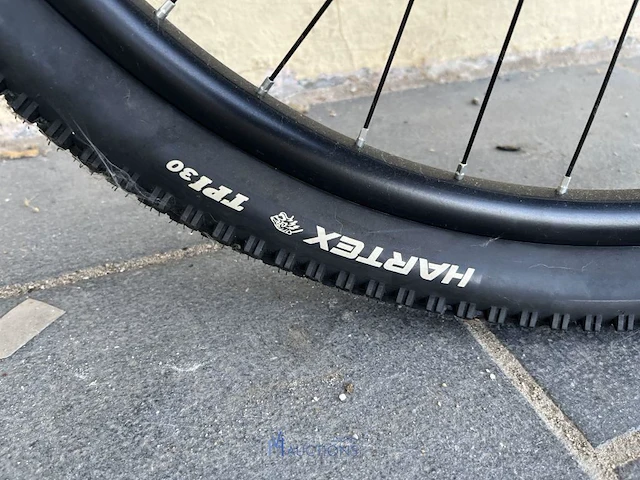 Mountainbike adriatica wings rs - afbeelding 10 van  15