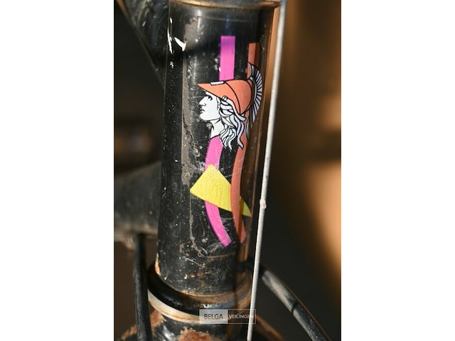 Mountainbike sparta - afbeelding 3 van  3