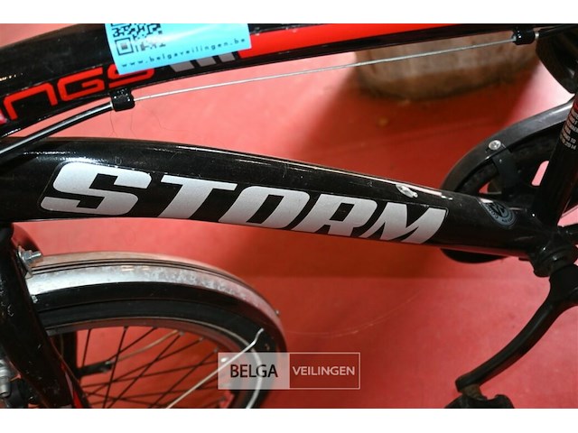 Mountainbike storm - afbeelding 3 van  4