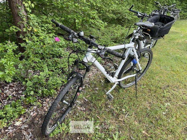 Mountainbike thompson - afbeelding 1 van  4