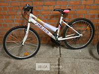 Mountanbike frejus - afbeelding 1 van  3