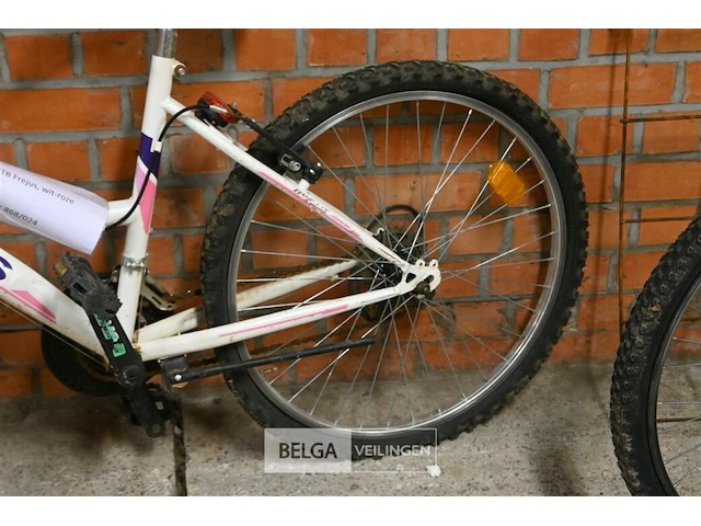 Mountanbike frejus - afbeelding 2 van  3