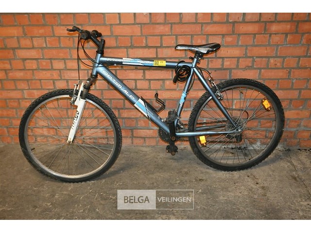 Mountanbike optimalp - afbeelding 1 van  3