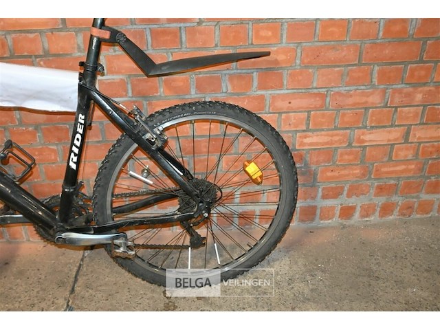 Mountanbike rider - afbeelding 2 van  3