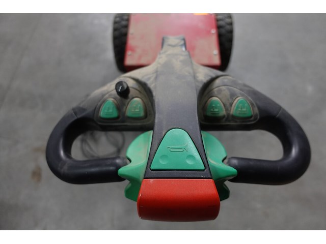 Mover verhagen leiden - afbeelding 6 van  9