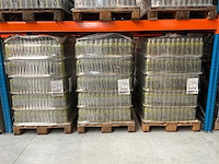 Mp3 drinks sportdrank (17388x) - afbeelding 13 van  27