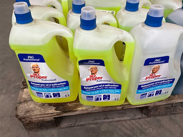 Mr.proper diverse reiniger 5 liter (30x) - afbeelding 2 van  4