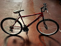 Mtb - afbeelding 2 van  3