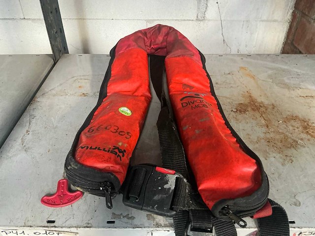 Mullion diverse reddingsvesten (5x) - afbeelding 2 van  3