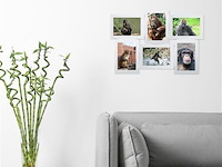 Multi collage foto's 3d - afbeelding 4 van  7