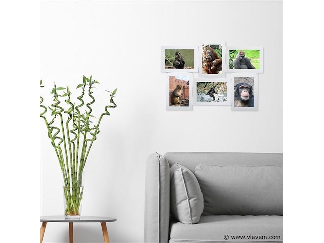 Multi collage foto's 3d - afbeelding 4 van  7