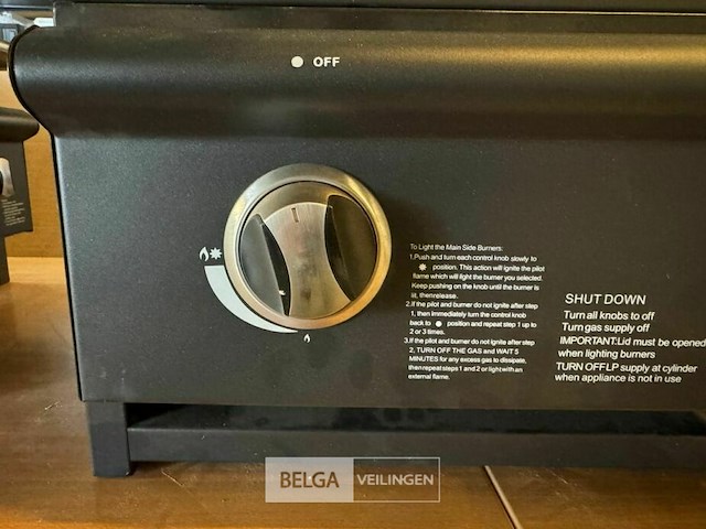 Multifunctionele brada 2000 gasbarbecue - afbeelding 13 van  19