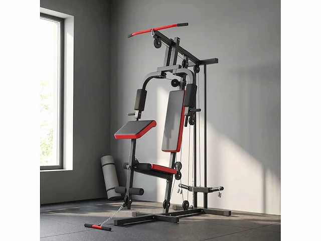 Multifunctionele multi-disc multi-gym met uitneembare bank, 136x107x205cm, zwart en rood - afbeelding 1 van  6