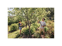 Multifunctionele snoeischaar. telesc. fiskars powergear™x upx86 bereik 6m ø32mm - afbeelding 7 van  8