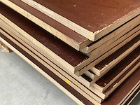 Multiplex (17x) - afbeelding 2 van  3