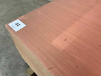 Multiplex (20x) - afbeelding 4 van  4