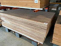 Multiplex (44x) - afbeelding 2 van  4