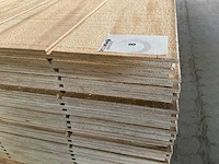 Multiplex channelply (40x) - afbeelding 3 van  5