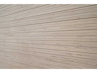 Multiplex populier 12mm 244x122 b/bb (25 platen) - afbeelding 4 van  6