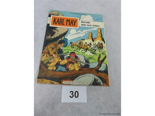 Mustang voor palo verdes - afbeelding 1 van  3