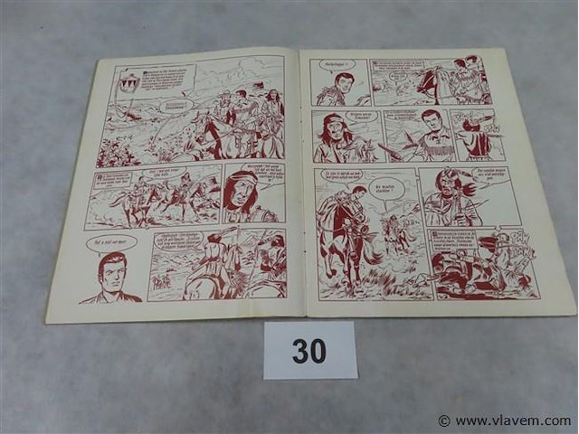 Mustang voor palo verdes - afbeelding 2 van  3