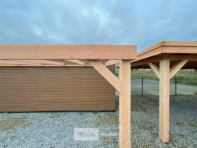 Muur carport/overkapping, afm b310xd900xh185/225 cm - afbeelding 7 van  7
