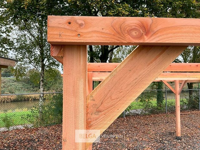 Muur carport/overkapping dubbel-hoog, afm b610xd600xh285cm - afbeelding 3 van  3