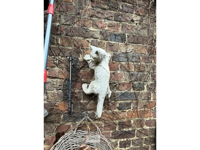 Muurdecoratie buiten, op aangeven van belga veilingen - afbeelding 5 van  7