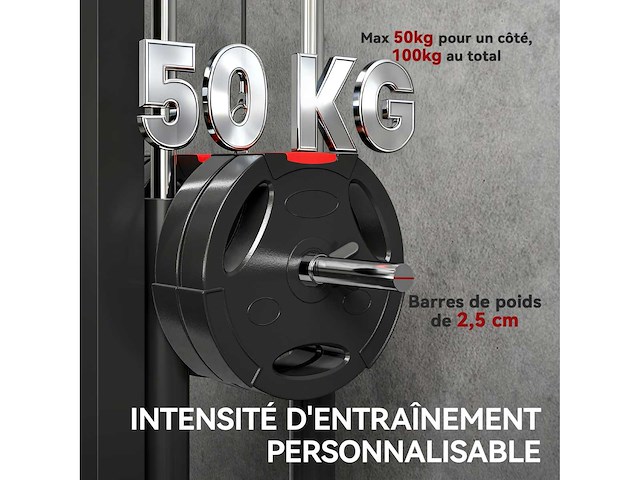 Muurgemonteerde multigym-machine, pull-up station, hoge en lage katrol, 2 katrollen, stalen - afbeelding 7 van  8