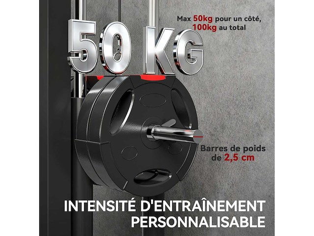 Muurgemonteerde multigym-machine, pull-up station, hoge en lage katrol, 2 katrollen, stalen - afbeelding 7 van  7