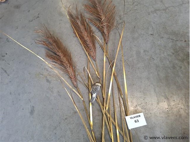 Muurornament - afbeelding 2 van  2